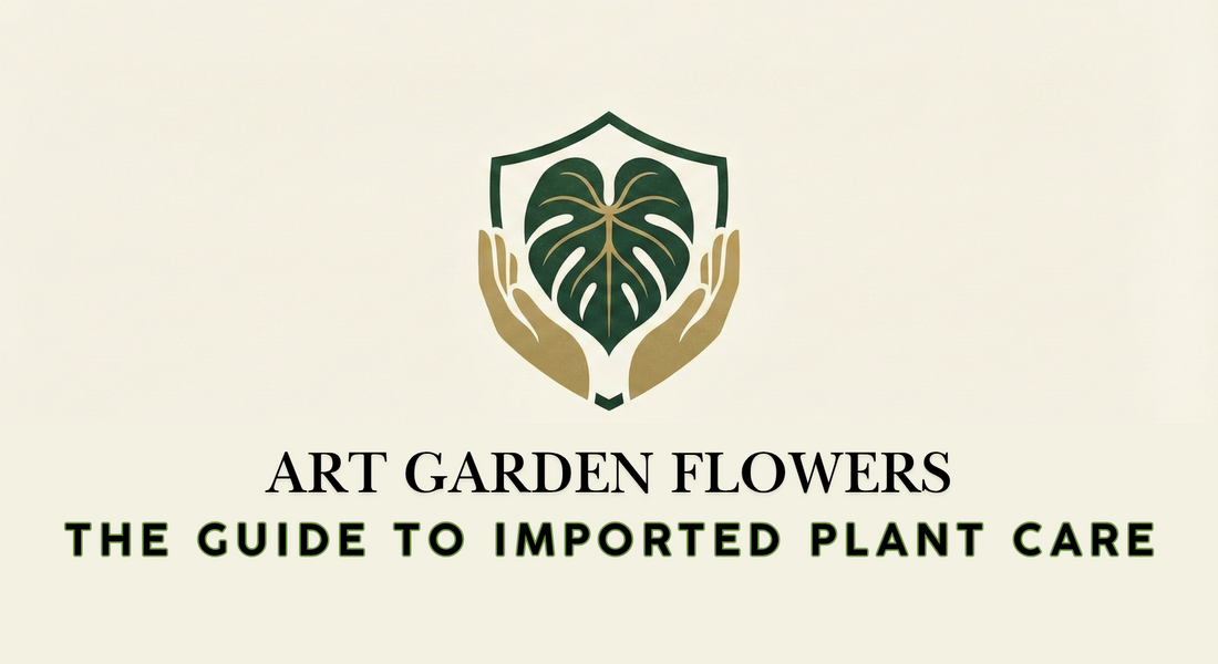 Aclimatization; Repotting Guide for Imported Plants — Our Process