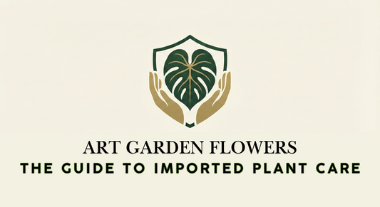 Aclimatization; Repotting Guide for Imported Plants — Our Process