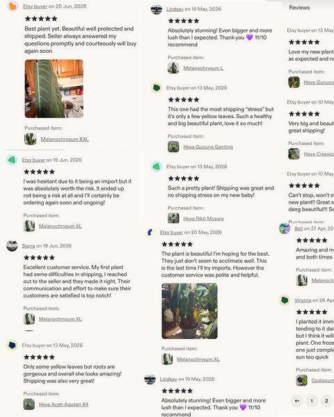 Etsy Customers