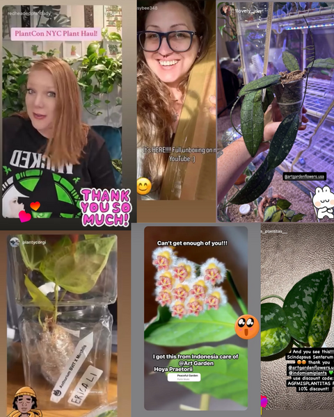 Instagram Customers